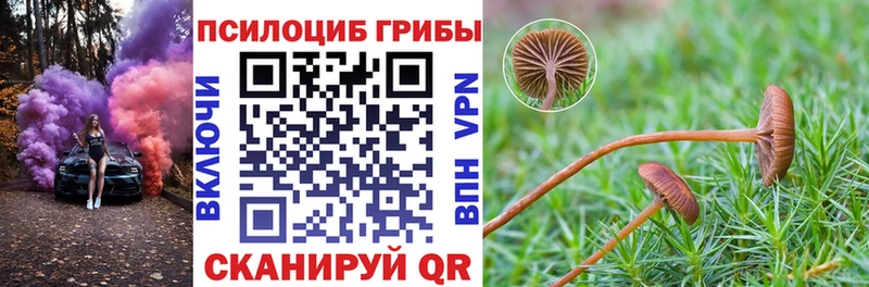 ссылка на мегу tor  Сызрань  Псилоцибиновые грибы Psilocybe 