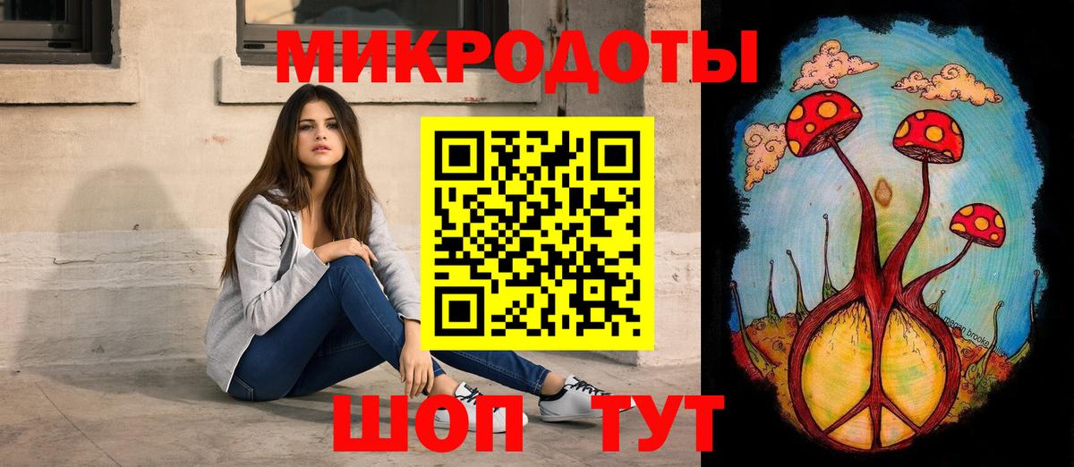 Псилоцибиновые грибы Psilocybine cubensis Сызрань
