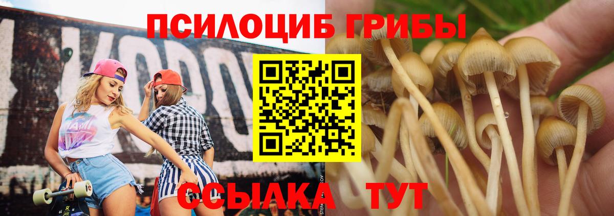 Псилоцибиновые грибы прущие грибы  Вход с VPN  Сызрань  Псилоцибиновые грибы мухоморы 