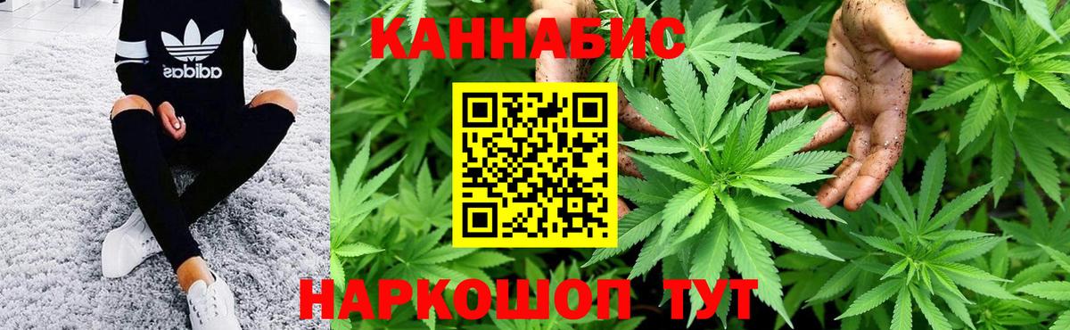 Сызрань  Бошки марихуана конопля  Вход с VPN  Шишки марихуана семена 